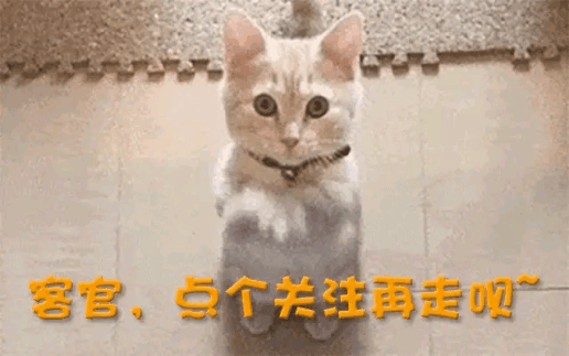 开云体育下载APP-超额完成1400亿新融资!英伟达抢着输血,马斯克的xAI估值1.6万亿